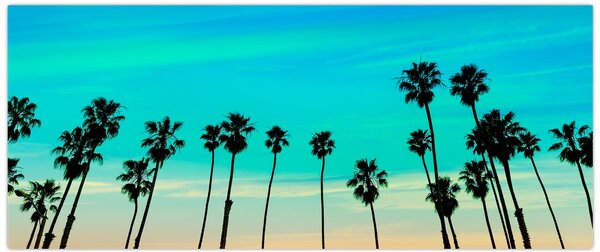 Kép - Kalifornia (120x50 cm)