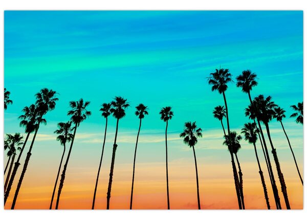 Kép - Kalifornia (90x60 cm)