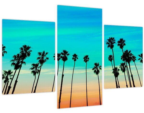 Kép - Kalifornia (90x60 cm)