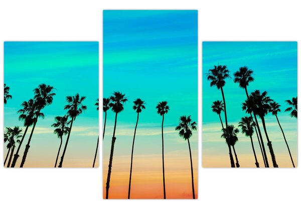 Kép - Kalifornia (90x60 cm)