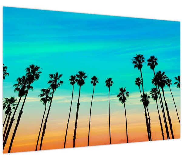 Kép - Kalifornia (90x60 cm)