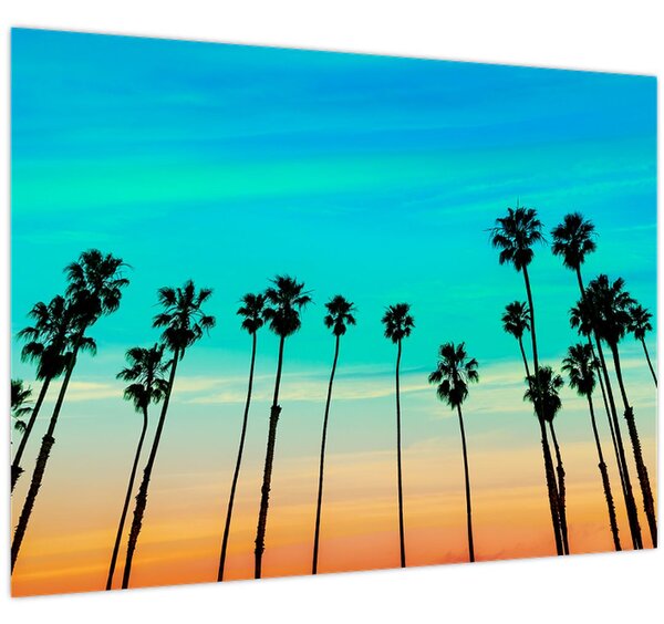Kép - Kalifornia (70x50 cm)