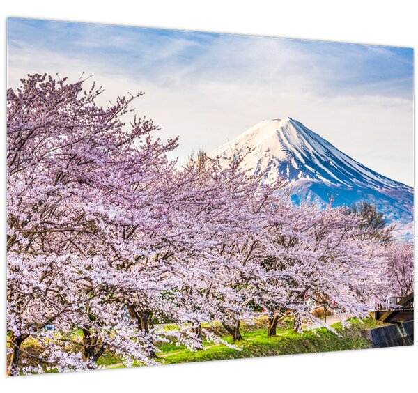 Kép - Japán tavasszal (70x50 cm)