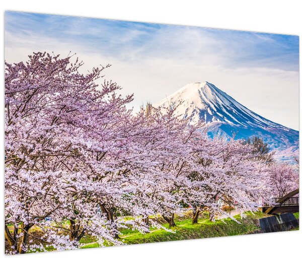 Kép - Japán tavasszal (90x60 cm)