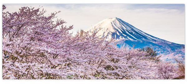 Kép - Japán tavasszal (120x50 cm)