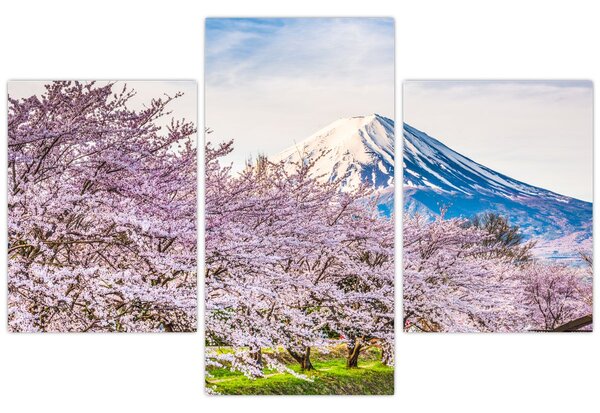Kép - Japán tavasszal (90x60 cm)