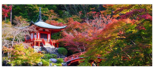 Kép - Daigodji (120x50 cm)