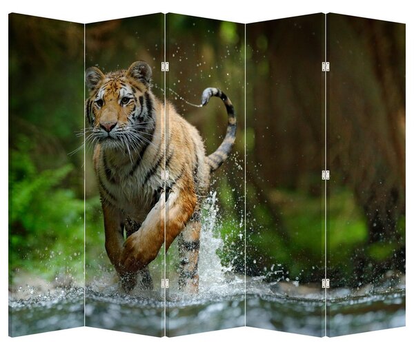 Paraván - Futó tigris (210x170 cm)