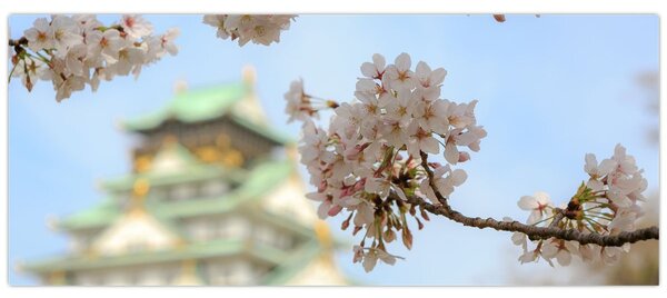 Kép - Sakura (120x50 cm)