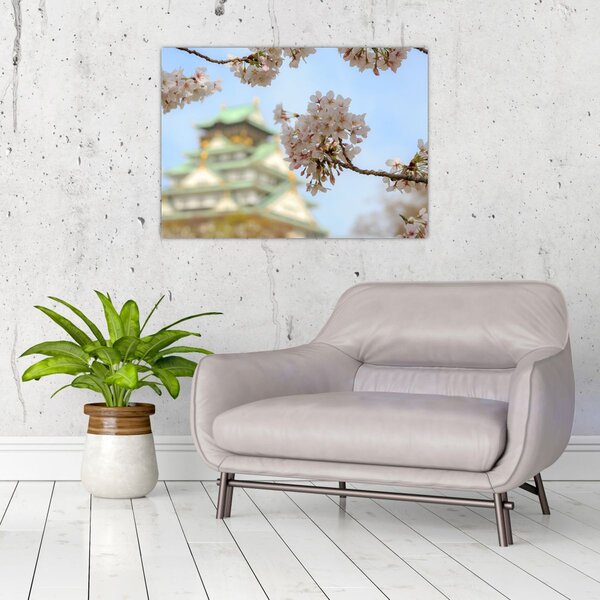 Kép - Sakura (70x50 cm)