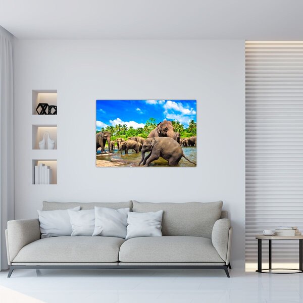 Kép - Elefántok, Sri Lanka (90x60 cm)