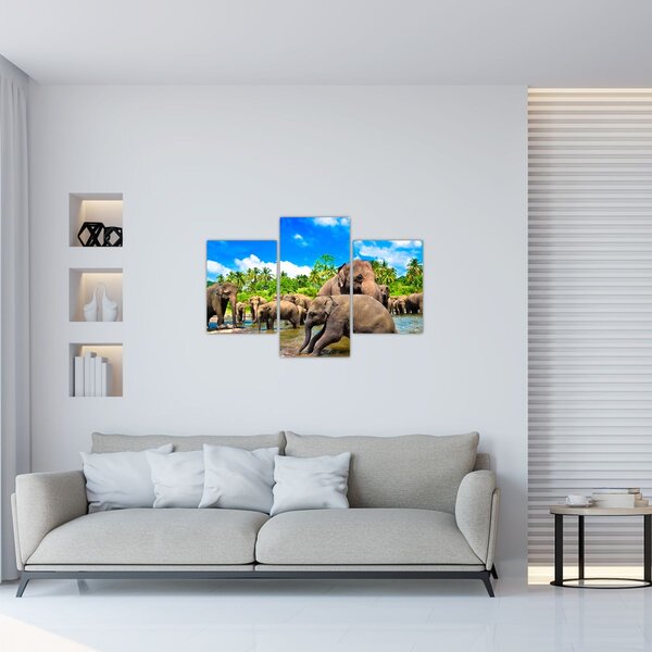 Kép - Elefántok, Sri Lanka (90x60 cm)