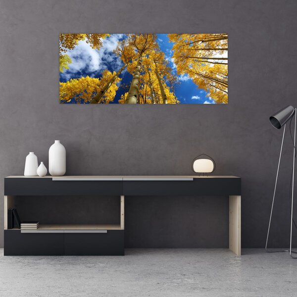 Kép - Aspen (120x50 cm)
