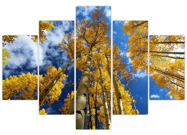 Kép - Aspen (150x105 cm)