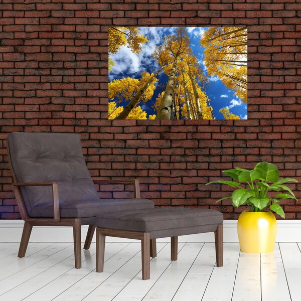 Kép - Aspen (90x60 cm)