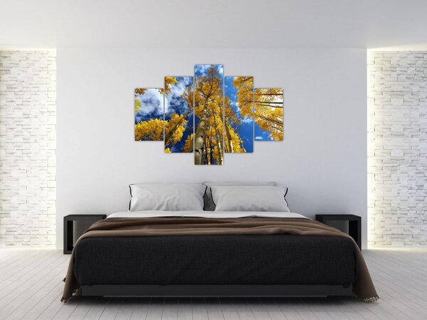 Kép - Aspen (150x105 cm)