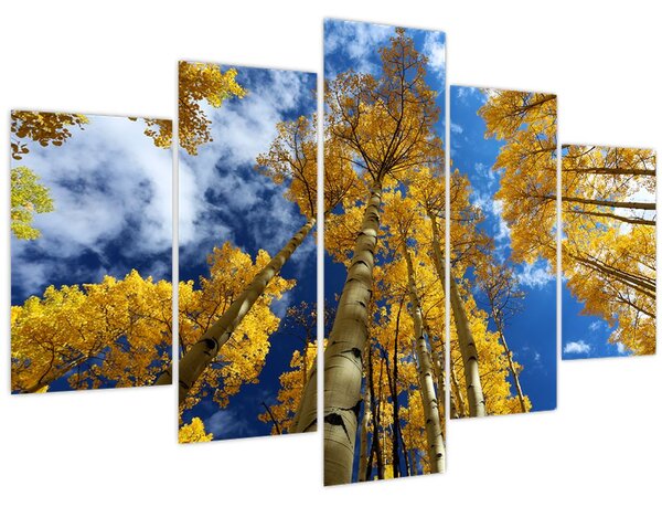 Kép - Aspen (150x105 cm)