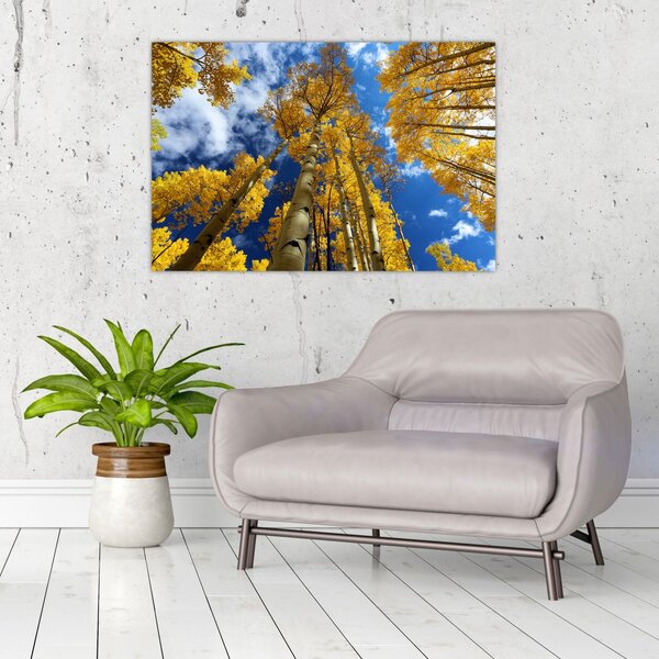 Kép - Aspen (90x60 cm)