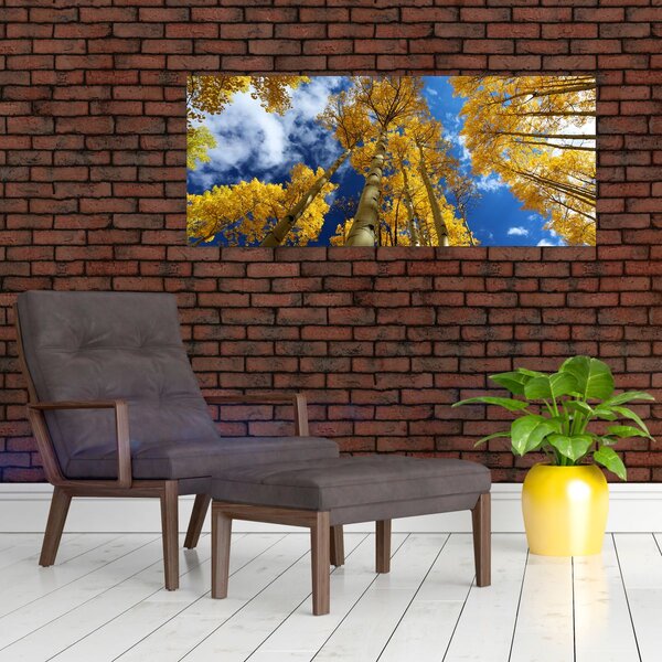 Kép - Aspen (120x50 cm)
