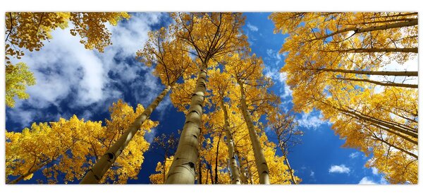 Kép - Aspen (120x50 cm)