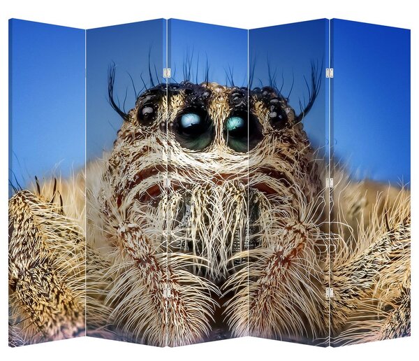 Paraván - A pók részlete (210x170 cm)