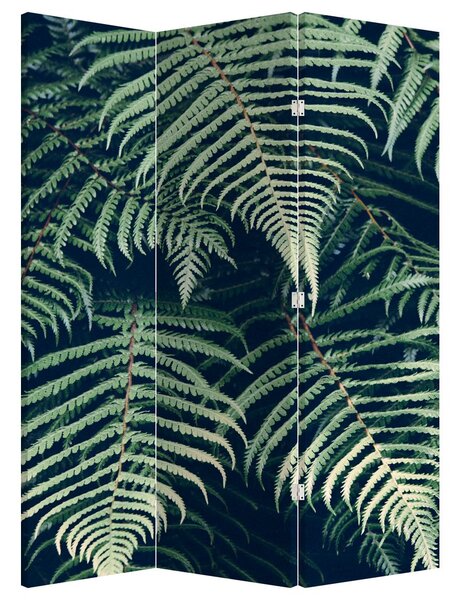 Paraván - Páfrány levelek (126x170 cm)