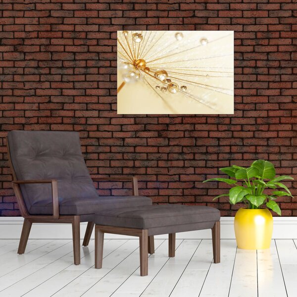 Kép - Makro fotó pitypangról (70x50 cm)