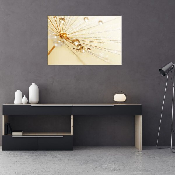 Kép - Makro fotó pitypangról (90x60 cm)