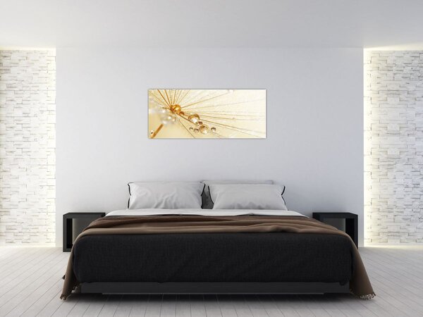 Kép - Makro fotó pitypangról (120x50 cm)
