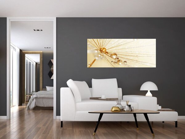 Kép - Makro fotó pitypangról (120x50 cm)