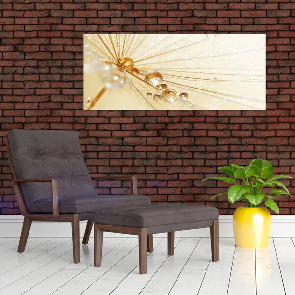 Kép - Makro fotó pitypangról (120x50 cm)