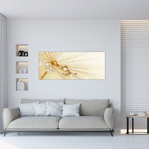 Kép - Makro fotó pitypangról (120x50 cm)