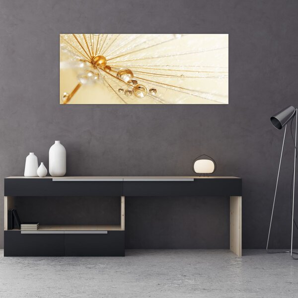 Kép - Makro fotó pitypangról (120x50 cm)