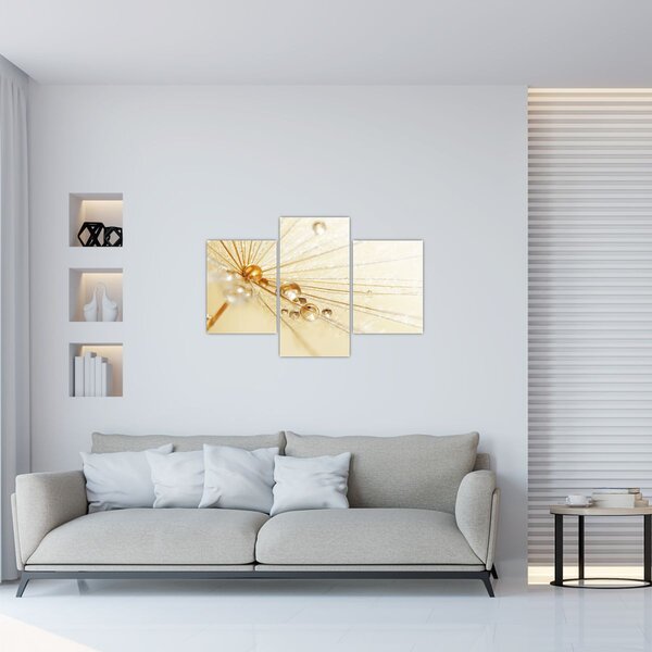 Kép - Makro fotó pitypangról (90x60 cm)