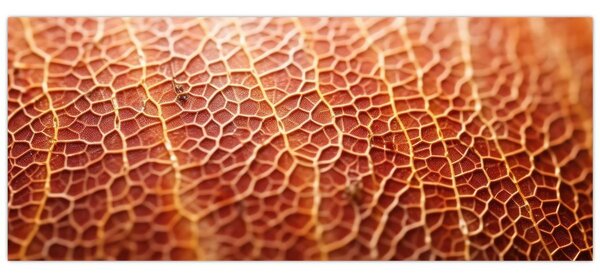 Kép - Textúra részlet (120x50 cm)