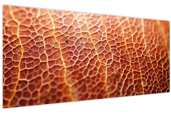 Kép - Textúra részlet (120x50 cm)