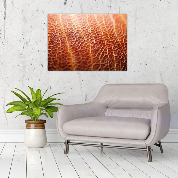 Kép - Textúra részlet (70x50 cm)