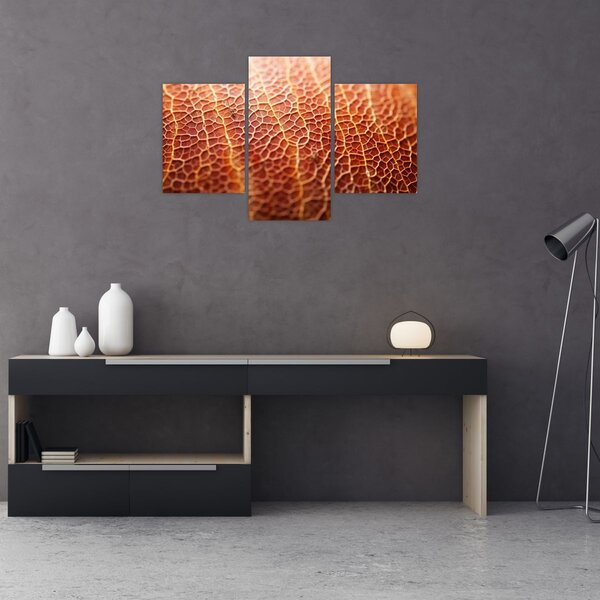 Kép - Textúra részlet (90x60 cm)