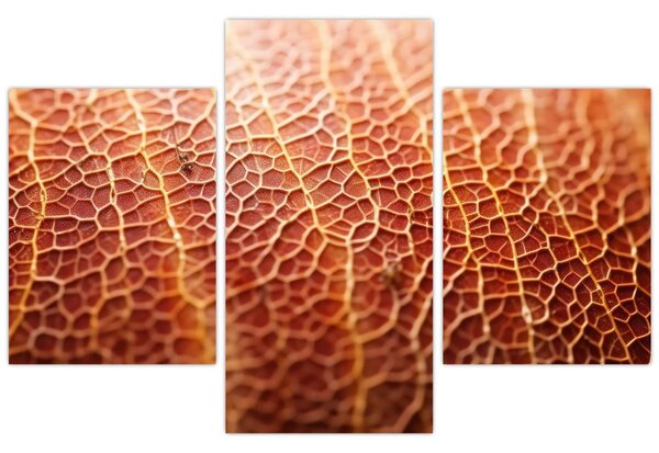 Kép - Textúra részlet (90x60 cm)