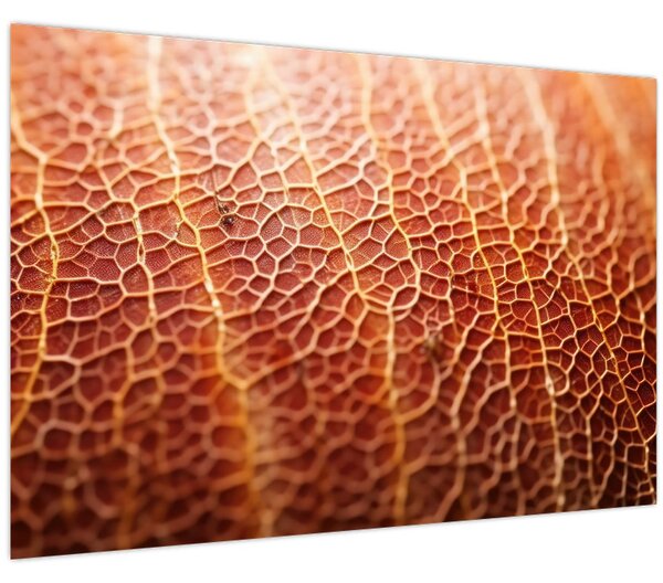 Kép - Textúra részlet (90x60 cm)