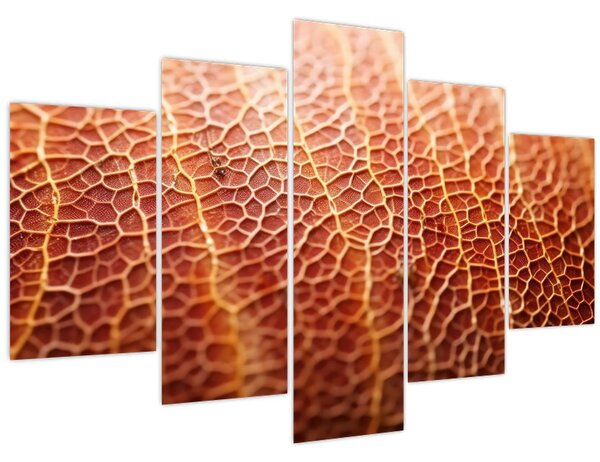 Kép - Textúra részlet (150x105 cm)