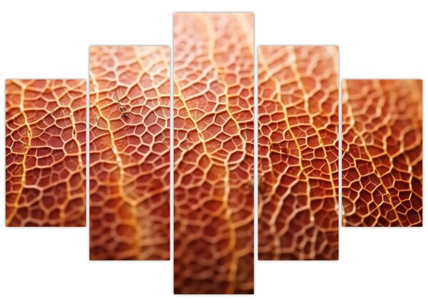 Kép - Textúra részlet (150x105 cm)