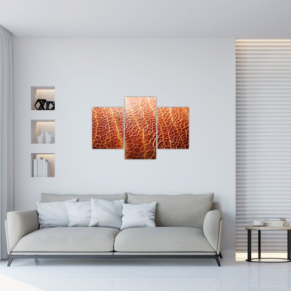 Kép - Textúra részlet (90x60 cm)