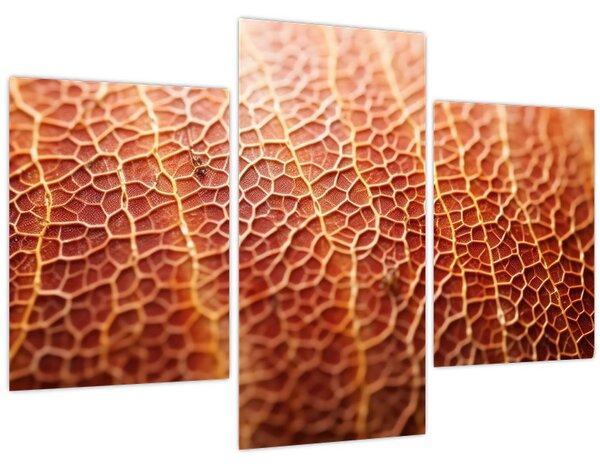 Kép - Textúra részlet (90x60 cm)