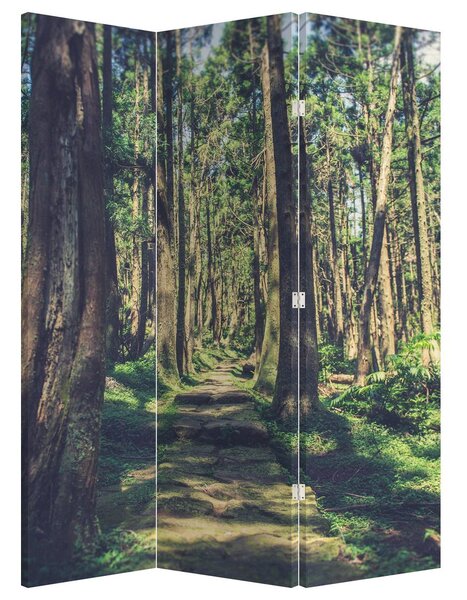 Paraván - Út a fák között (126x170 cm)
