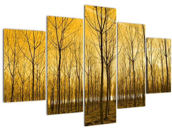 Kép - Faültetvény (150x105 cm)