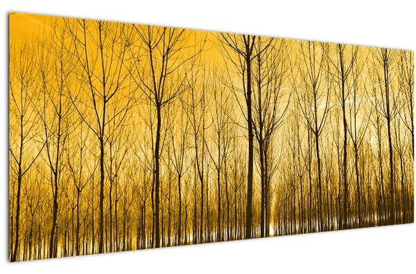 Kép - Faültetvény (120x50 cm)
