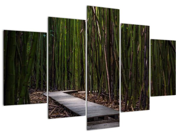 Kép - A bambuszok között (150x105 cm)