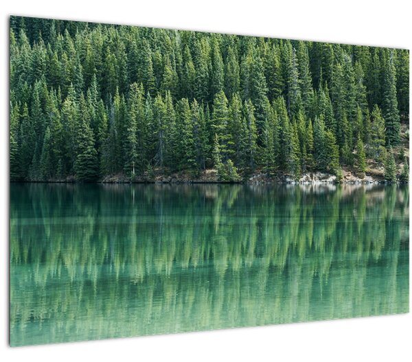 Kép - Tűlevelű a tónál (90x60 cm)
