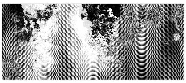 Kép - Kikeltetés (120x50 cm)